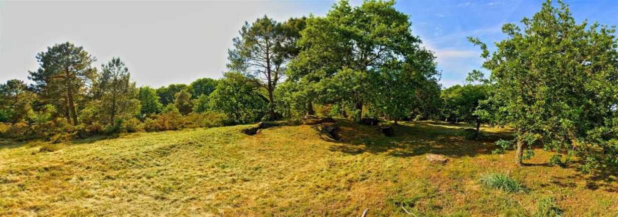 LA TRINITE SUR MER -Kervilor - Mané Bras (16) panorama_bd.jpg_compressed