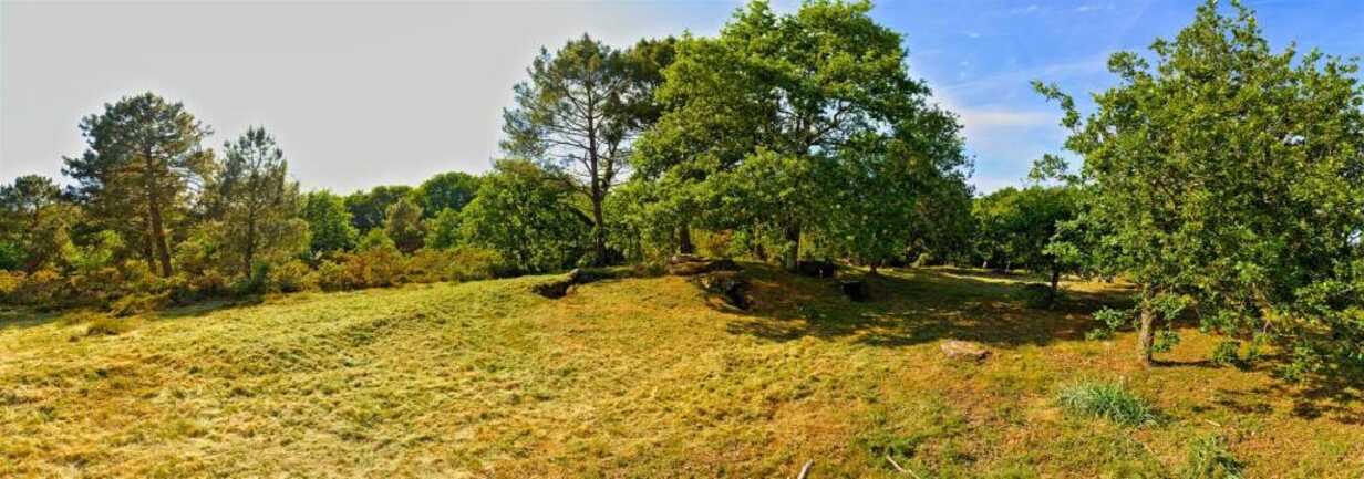 LA TRINITE SUR MER -Kervilor - Mané Bras (16) panorama.jpg_compressed