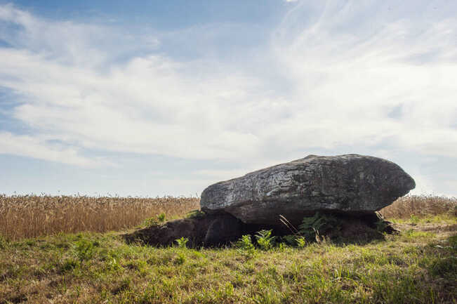 1.jpg_compressed (2)