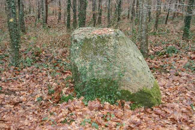 menhir l'armoirieCamors Morbihan Bretagne-sud