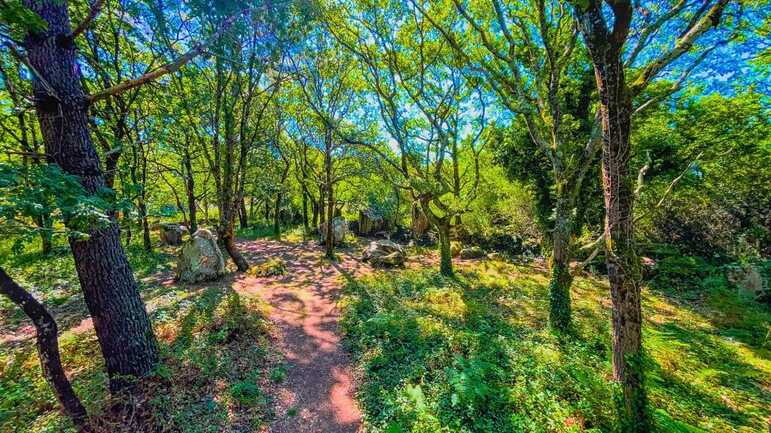 ERDEVEN - Kerjean 2 (4).jpg_compressed