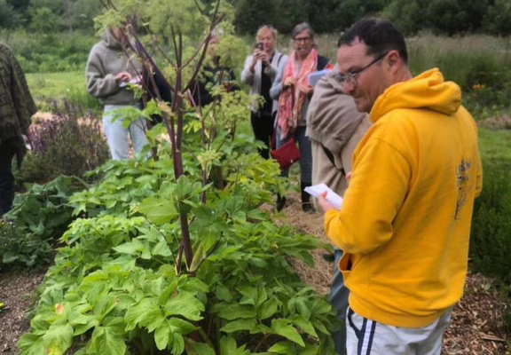 5-incroyables-chemins-ateliers-plantes-sauvages-medicinales-botanique-formation-phytotherapie