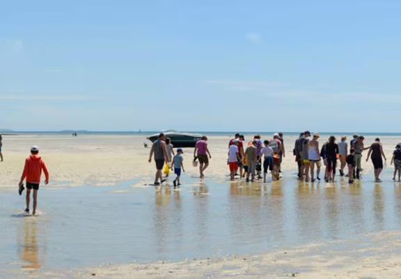 guide-nature-melanie-chouan-trinite-sur-mer-morbihan-bretagne-sud