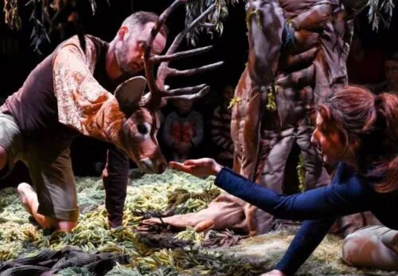 Spectacle - Sous l’arbre