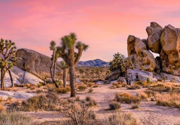 Ciné doc - Los Angelès - California