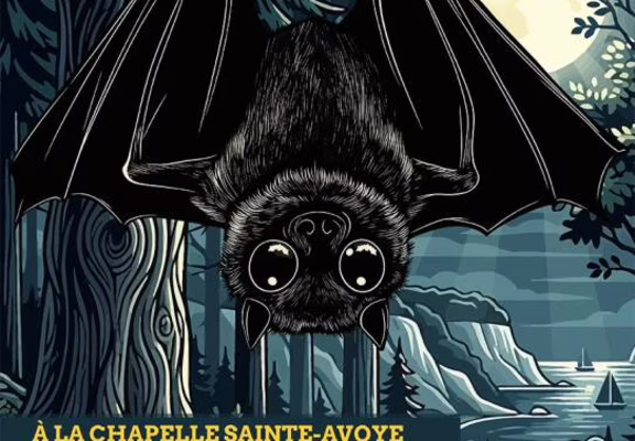 Balade semi-nocturne à la découverte des chauves-souris