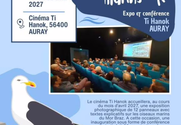 Conférence - A la découverte des oiseaux marins