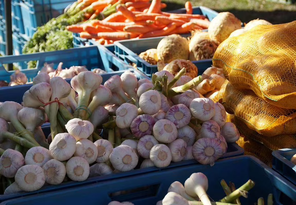 Marché hebdomadaire d'Etel