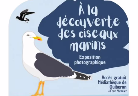 Exposition " Observons les oiseaux"