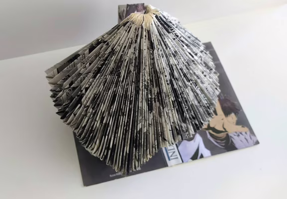 Exposition: Des plis et des livres de Marie Reneaud