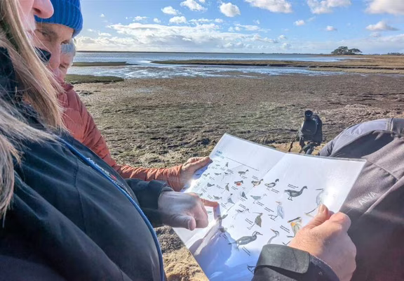 Entre ciel et dunes : les oiseaux d'Erdeven - Dunes Sauvages