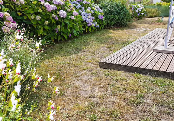 jardin-derriere