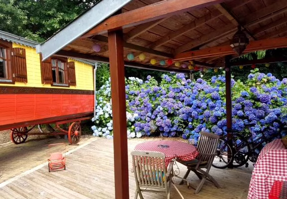 Terrasse-en-bois-semi-ombragee-equipee-d-une-plancha.