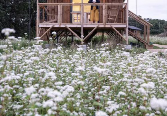 ecolodges nature