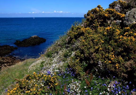 Dunes - Ile d Houat - Morbihan Bretagne sud