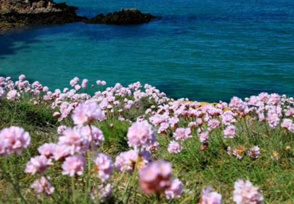 Dunes - Ile d Houat - Morbihan Bretagne sud