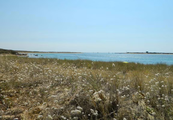 Plage-du-Pradic-Etel-4