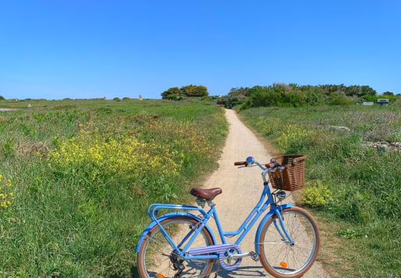 BeachBikesQuiberon7