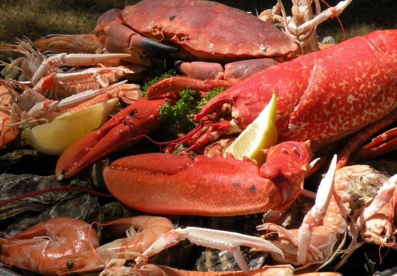 Aquaculture Jaouen - St-philibert -Morbihan Bretagne Sud