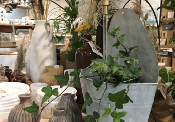 AURAY OXALIS-BOUTIK FONTAINE