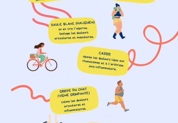 Baume 4