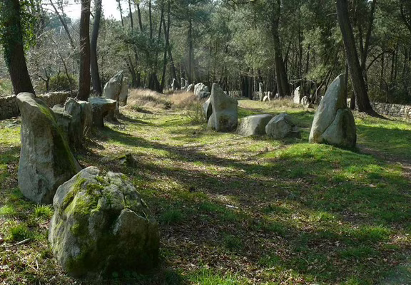 Petit Ménec - La Trinite sur Mer - morbihan Bretagne Sud