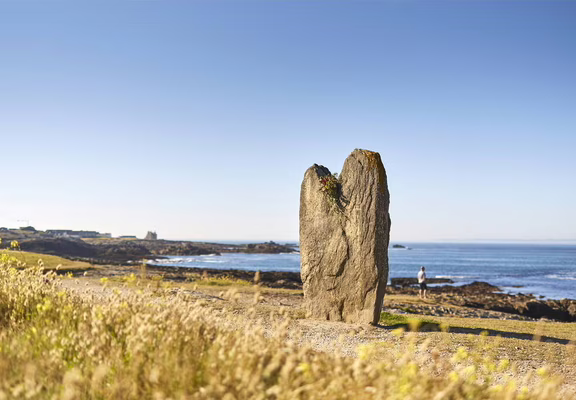 Menhirs de Beg Er Goh Lannec