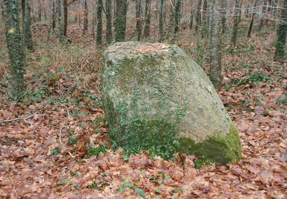 Menhir L’armoirie