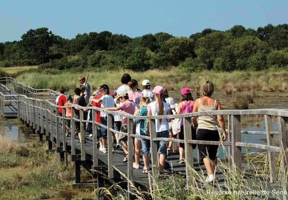 Réserve-naturelle-Séné-Golfe-du-Morbihan-Bretagne sud