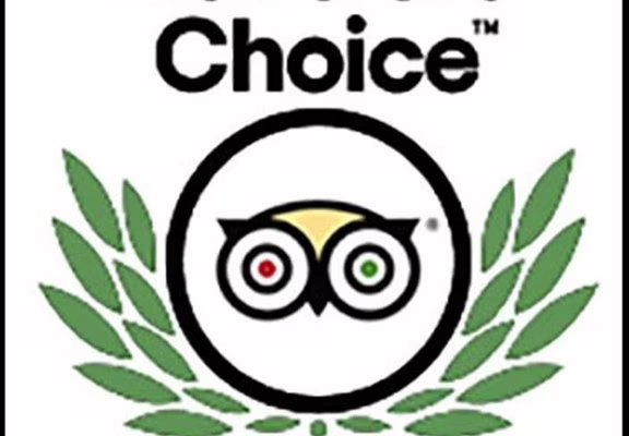 Tripadvisor 2021